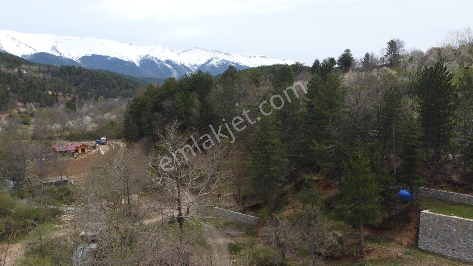 Bursa, Küçükdeliler Köyü Satılık 4.300 M2 Bahçe (tarla) - Görsel 19