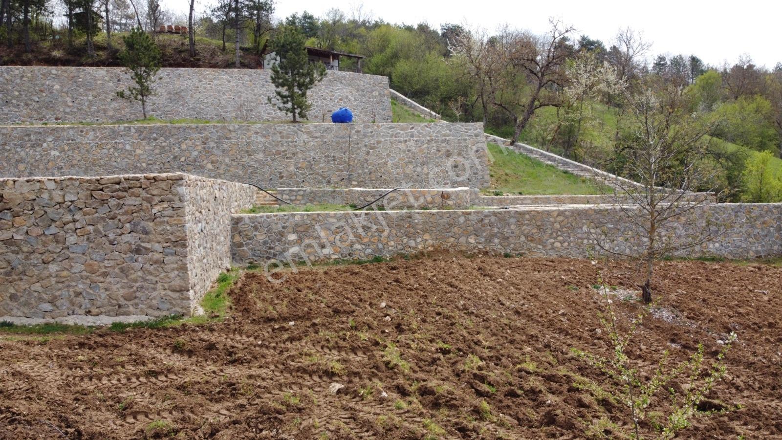 Bursa, Küçükdeliler Köyü Satılık 4.300 M2 Bahçe (tarla) - Görsel 34