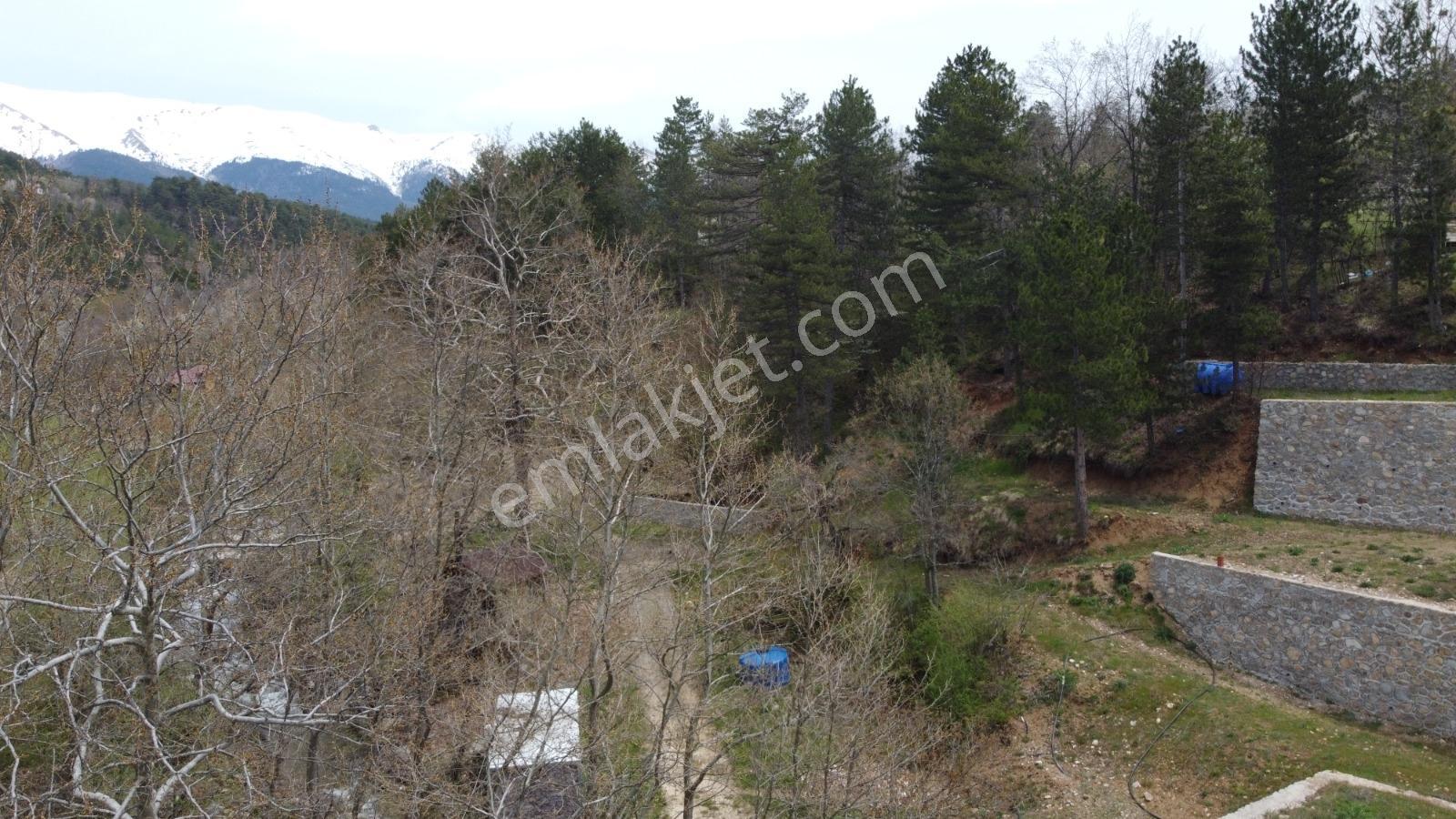 Bursa, Küçükdeliler Köyü Satılık 4.300 M2 Bahçe (tarla) - Görsel 18