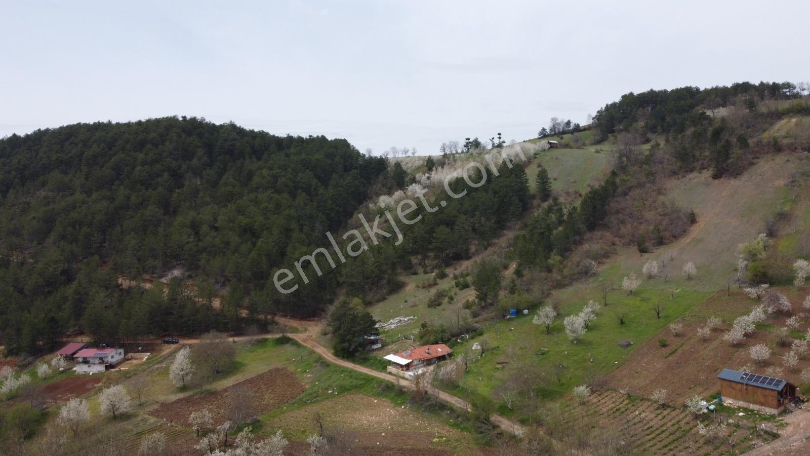 Bursa, Küçükdeliler Köyü Satılık 4.300 M2 Bahçe (tarla) - Görsel 24