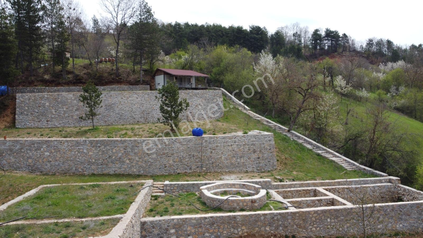 Bursa, Küçükdeliler Köyü Satılık 4.300 M2 Bahçe (tarla) - Görsel 4