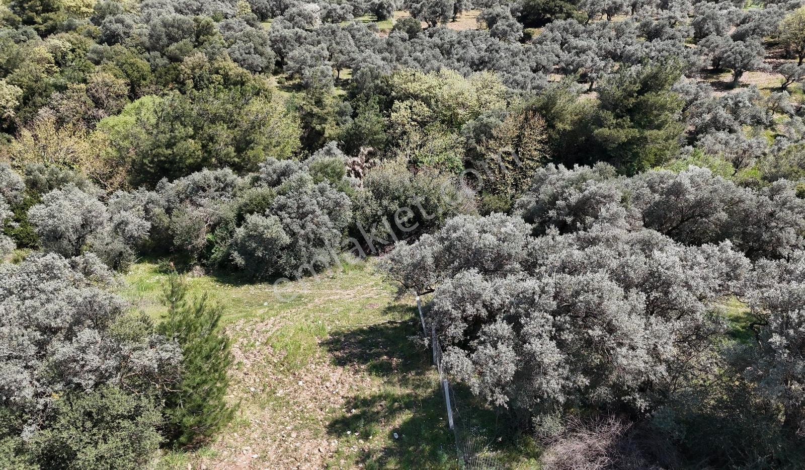Dağkızılca'da Ana Yol Üzeri Satılık Arsa - Görsel 2