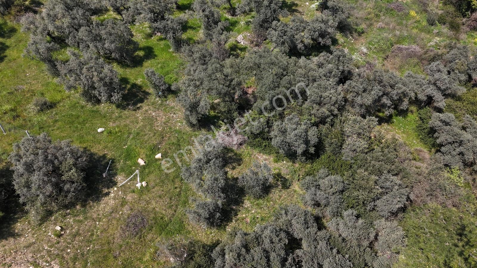 Dağkızılca'da Ana Yol Üzeri Satılık Arsa - Görsel 5