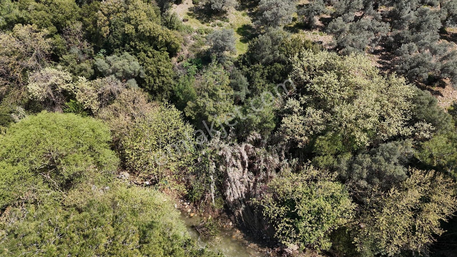 Dağkızılca'da Ana Yol Üzeri Satılık Arsa - Görsel 4