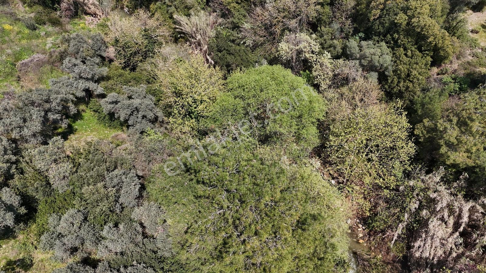 Dağkızılca'da Ana Yol Üzeri Satılık Arsa - Görsel 7