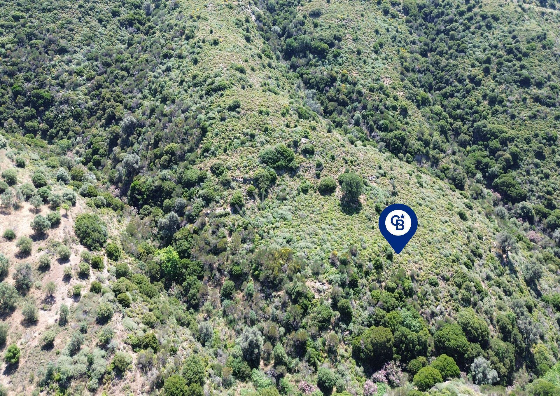 Karaburun Sarpıncık Mahallesi'nde 10.125 M² Satılık Tarla - Görsel 6