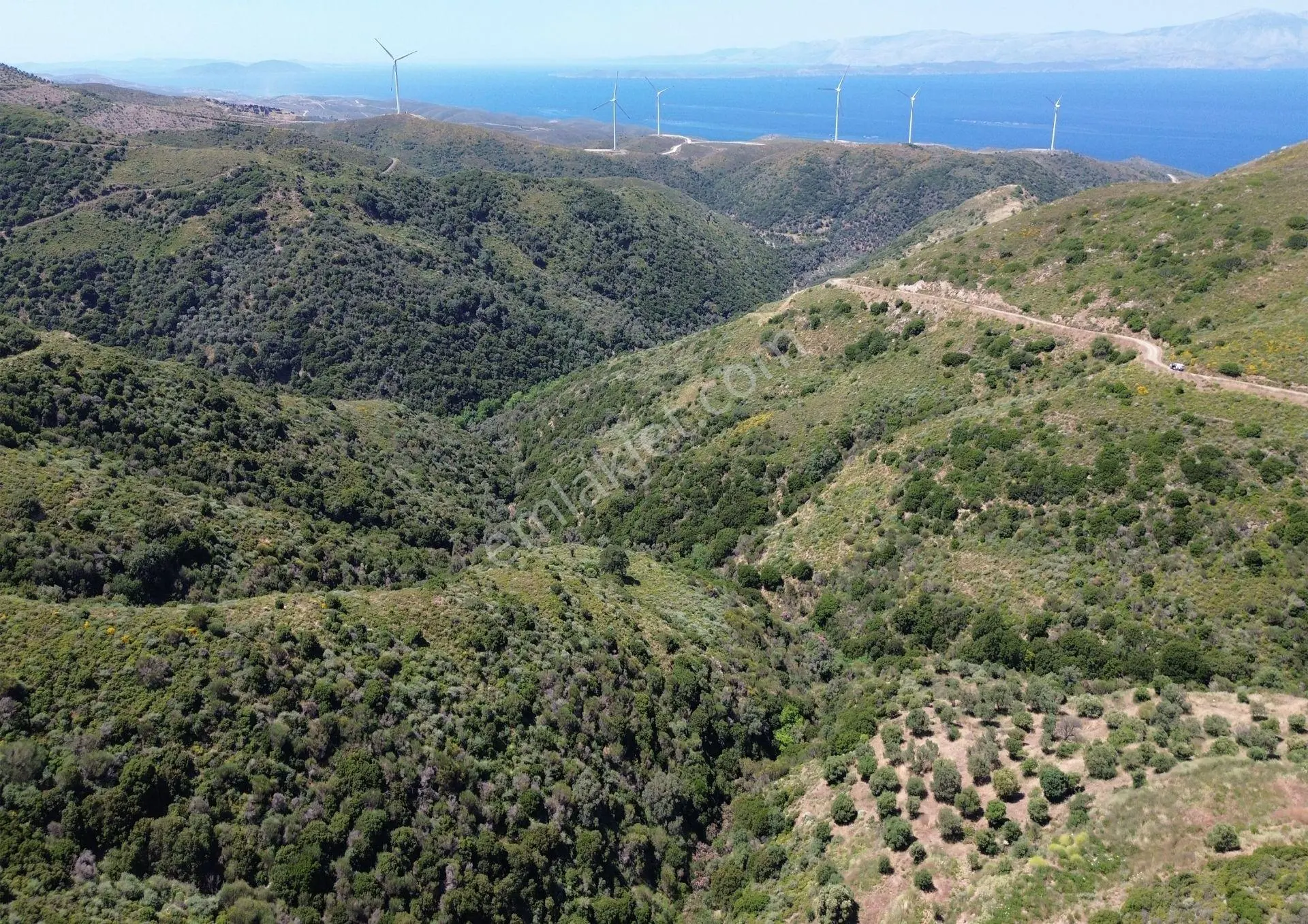 Karaburun Sarpıncık Mahallesi'nde 10.125 M² Satılık Tarla