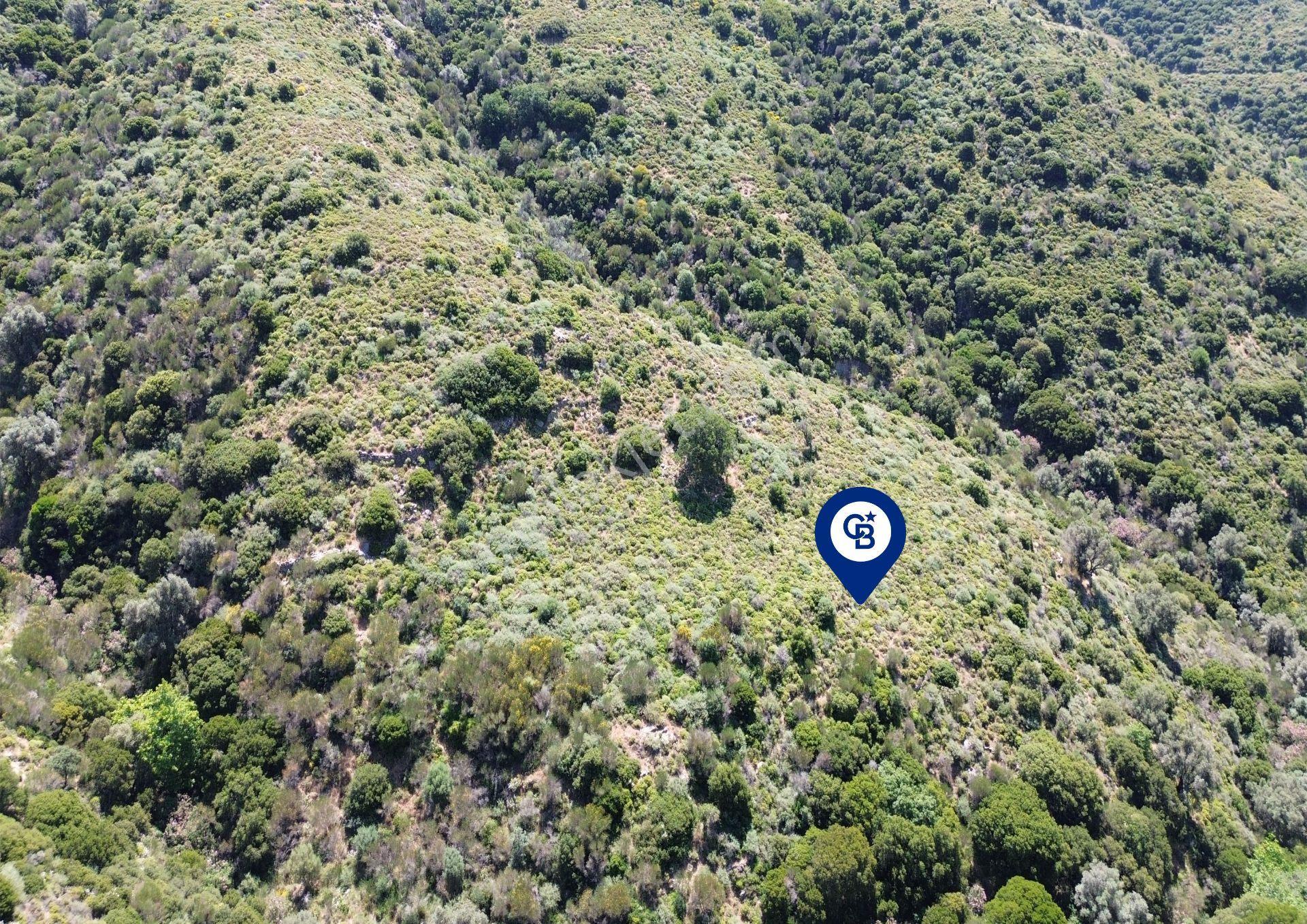 Karaburun Sarpıncık Mahallesi'nde 10.125 M² Satılık Tarla - Görsel 13