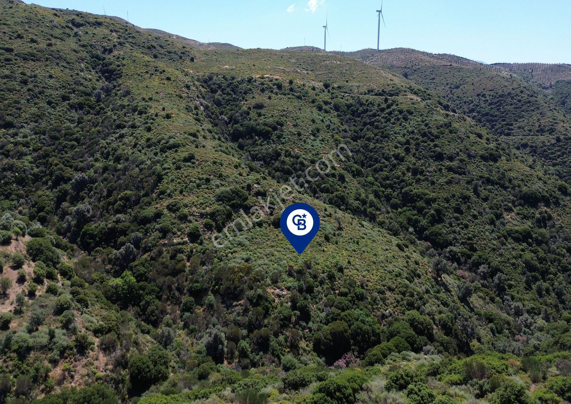 Karaburun Sarpıncık Mahallesi'nde 10.125 M² Satılık Tarla - Görsel 16
