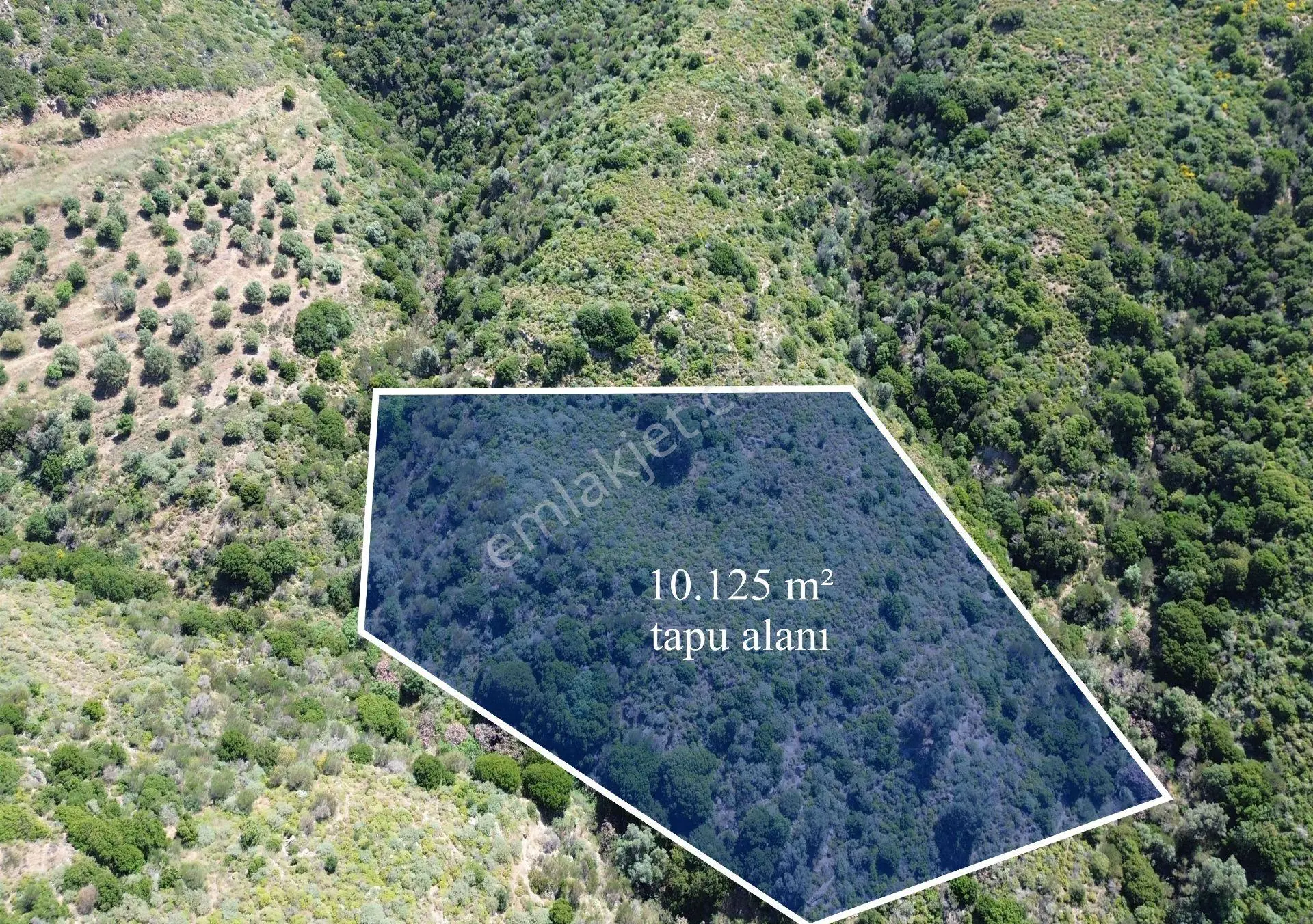 Karaburun Sarpıncık Mahallesi'nde 10.125 M² Satılık Tarla - Görsel 2