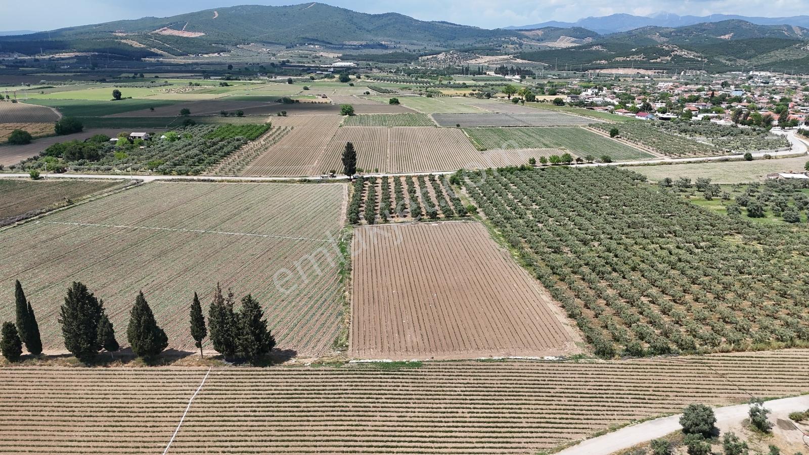 Arslanlarda Remaxten Satılık 5.000 M² Tarla - Görsel 7