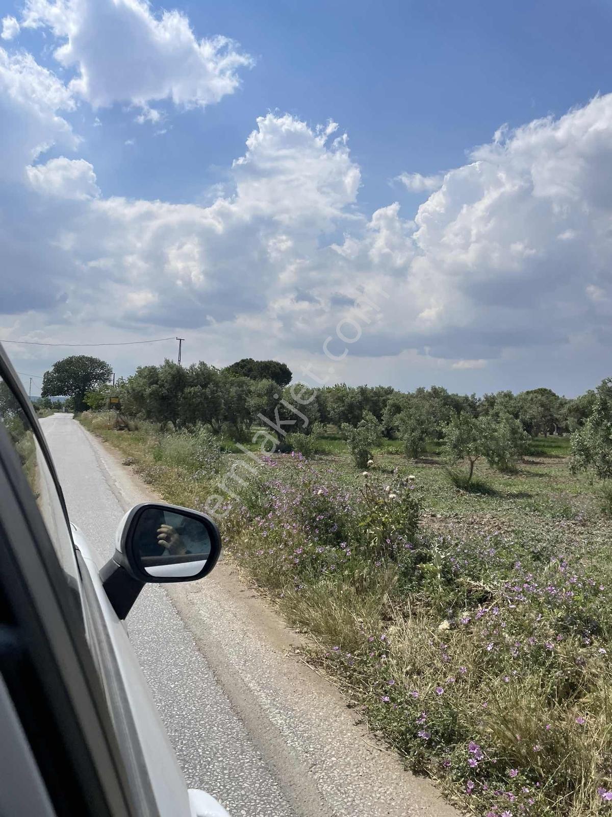 Arslanlarda Remaxten Satılık 5.000 M² Tarla - Görsel 10