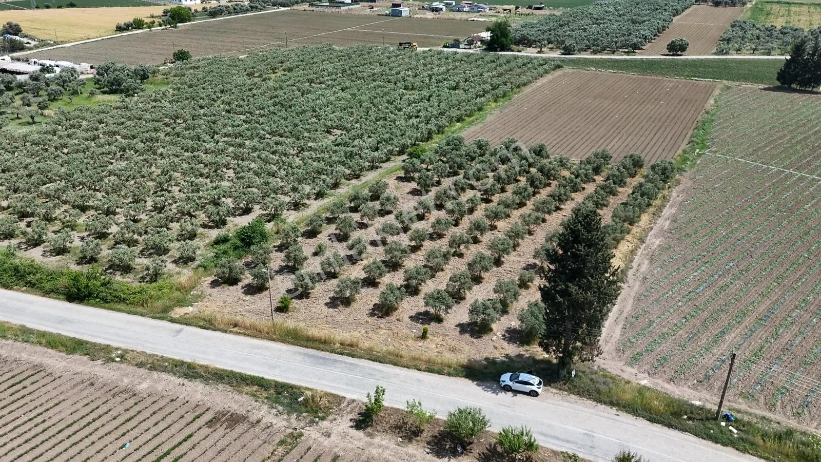 Arslanlarda Remaxten Satılık 5.000 M² Tarla