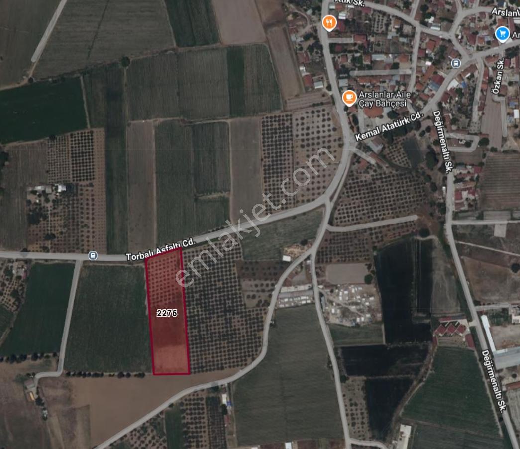 Arslanlarda Remaxten Satılık 5.000 M² Tarla - Görsel 13