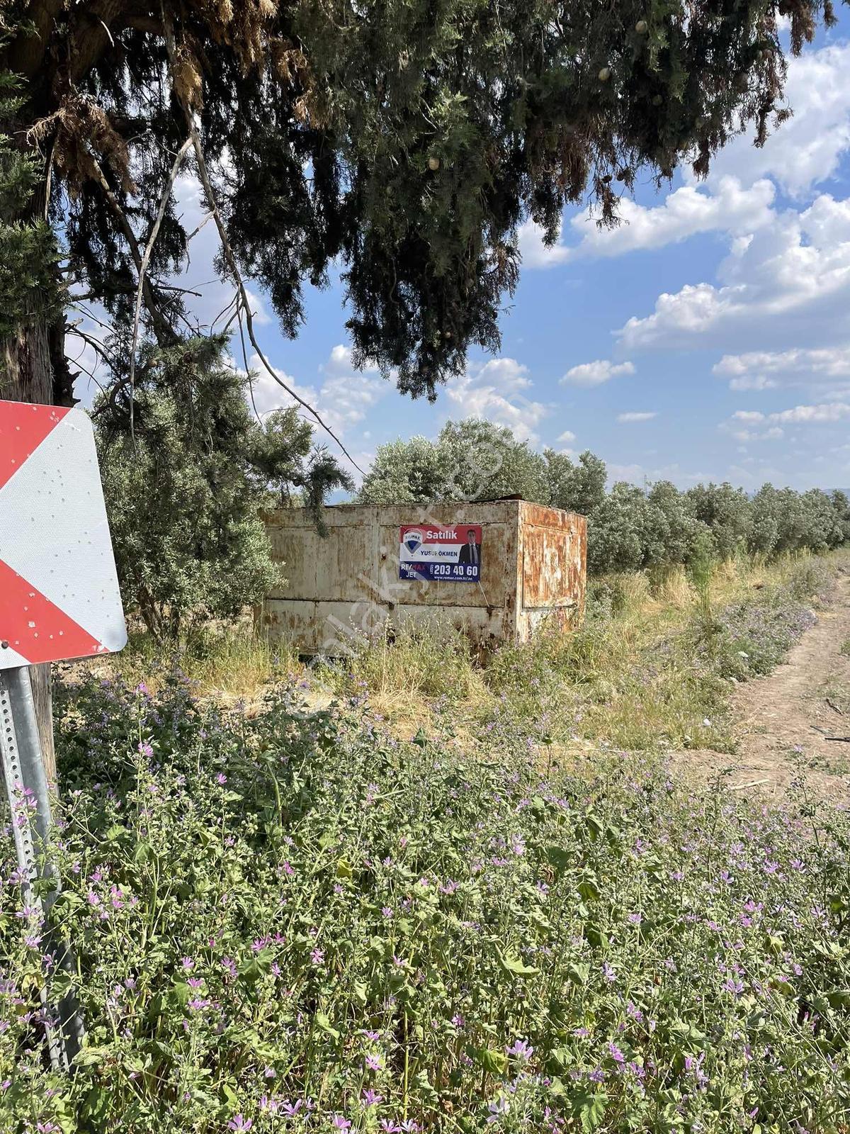 Arslanlarda Remaxten Satılık 5.000 M² Tarla - Görsel 15