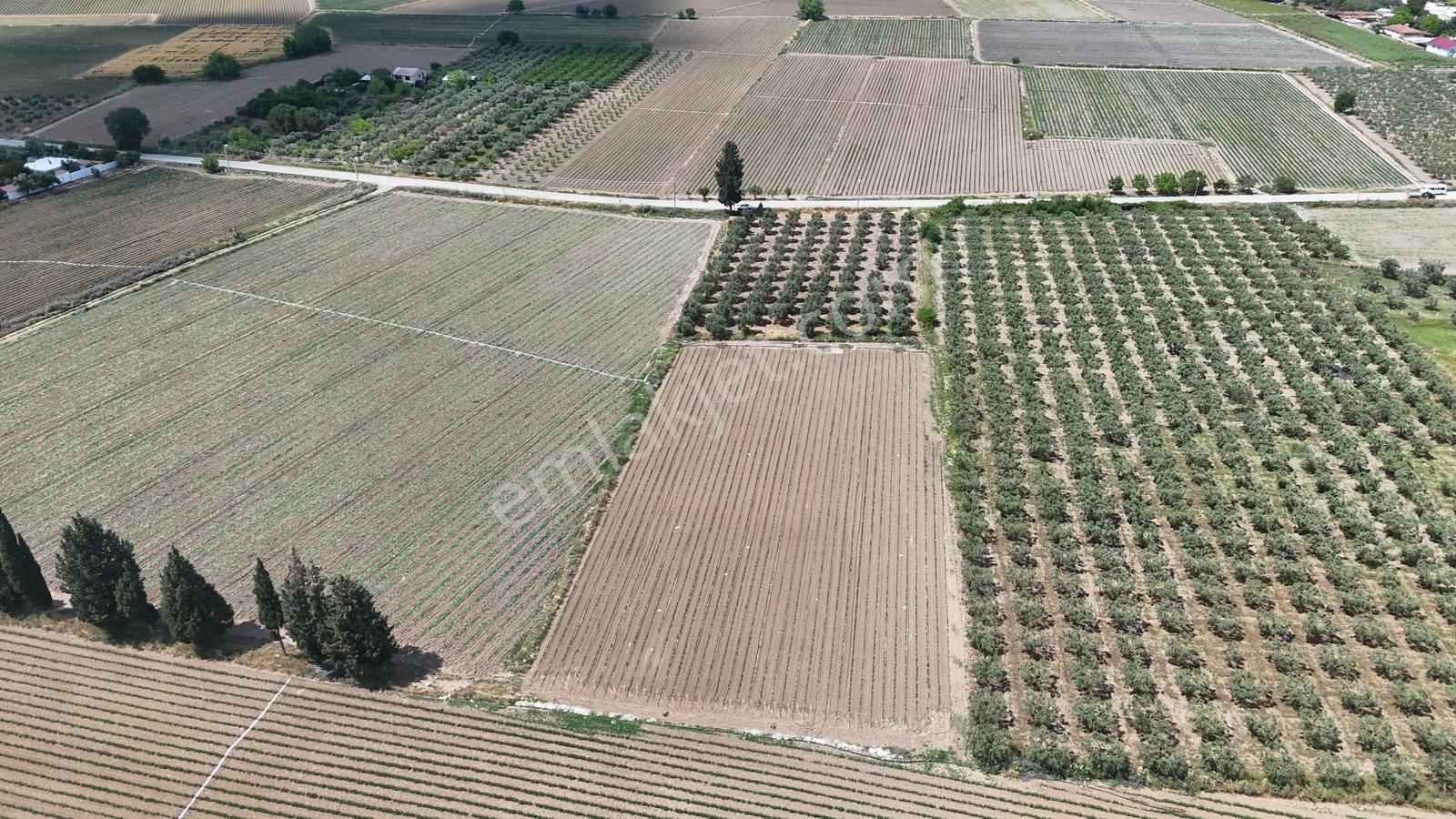 Arslanlarda Remaxten Satılık 5.000 M² Tarla - Görsel 8