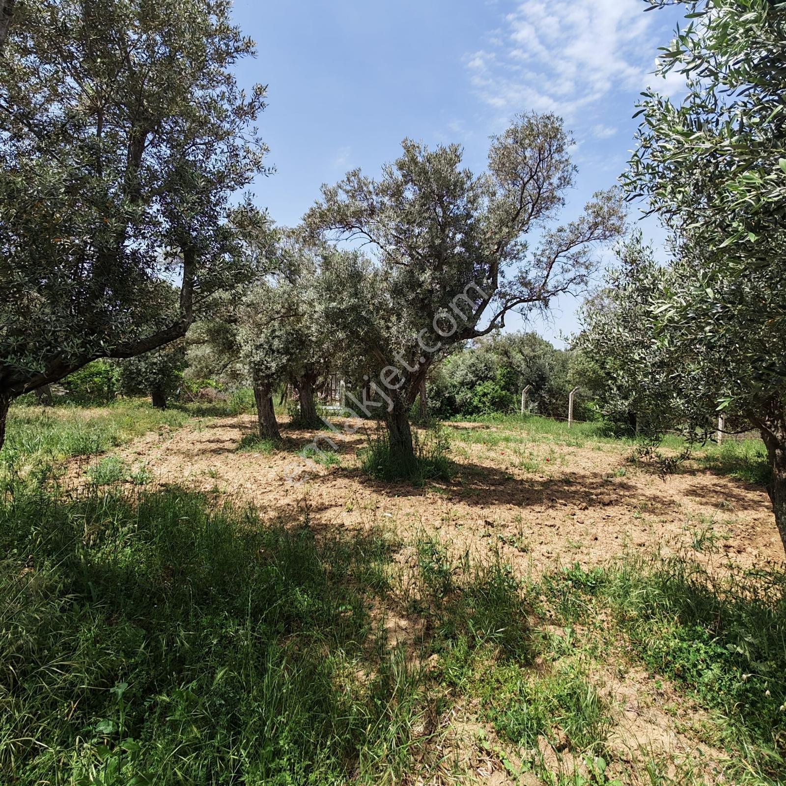 Remax Jet - Karakuyuda 3 Kat İmarlı 386m2 Arsa - Görsel 5