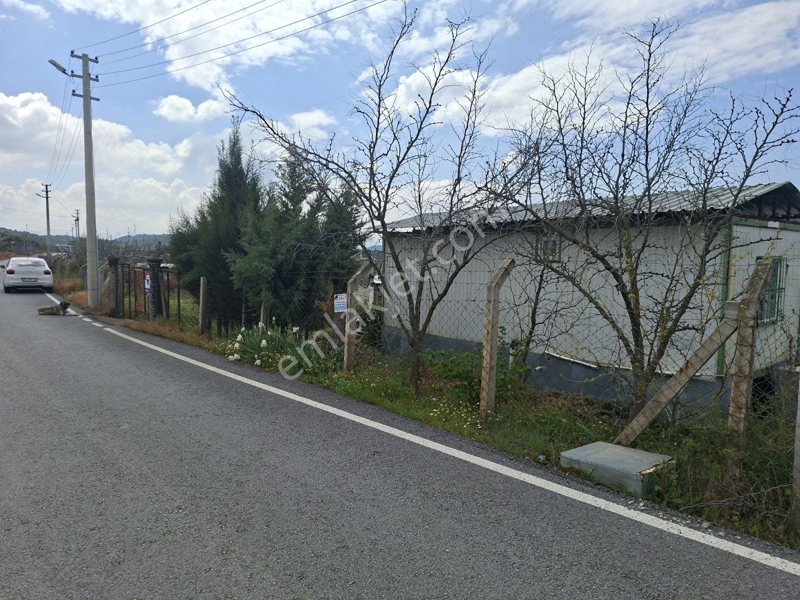 Şehrin Gürültüsünden Uzak, Huzur Arayanlara Özel - Görsel 4