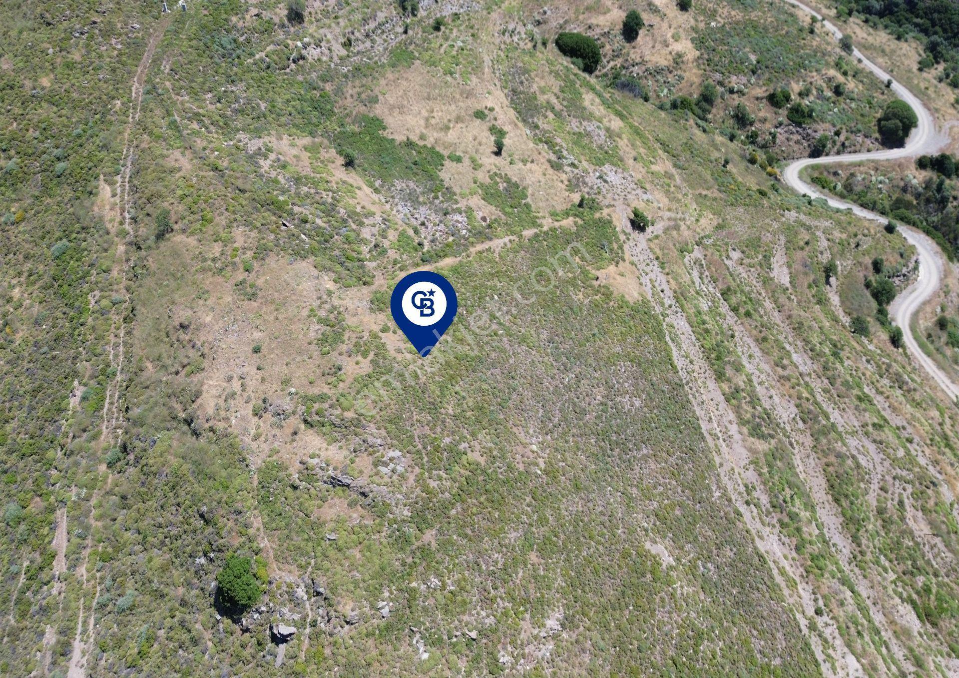 Karaburun Sarpıncık Mahallesi'nde 6.500 M² Satılık Tarla - Görsel 5