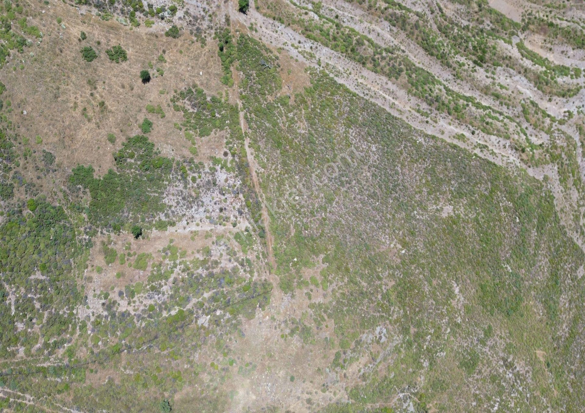 Karaburun Sarpıncık Mahallesi'nde 6.500 M² Satılık Tarla - Görsel 3
