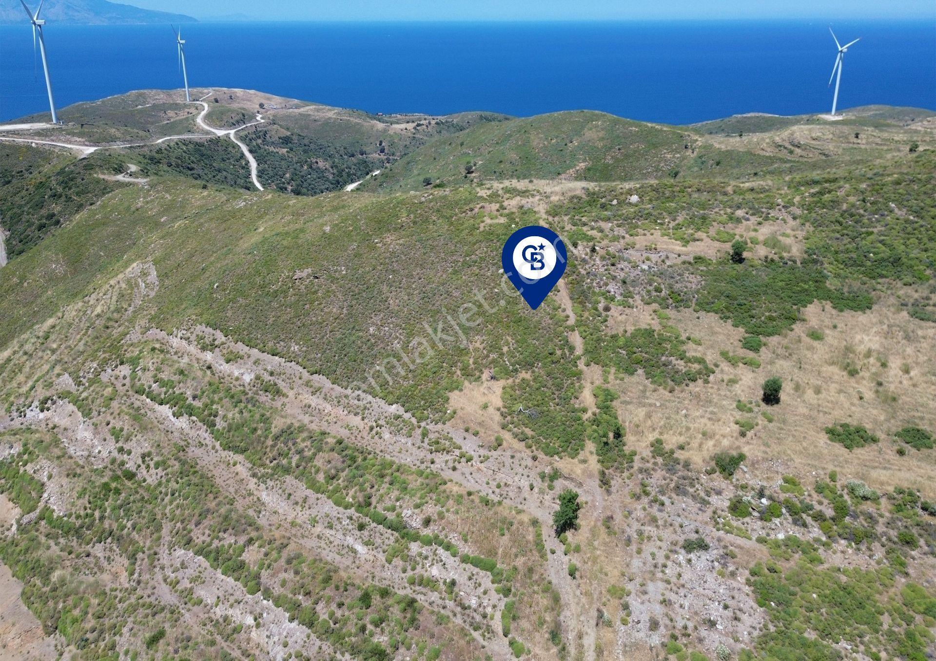 Karaburun Sarpıncık Mahallesi'nde 6.500 M² Satılık Tarla - Görsel 8