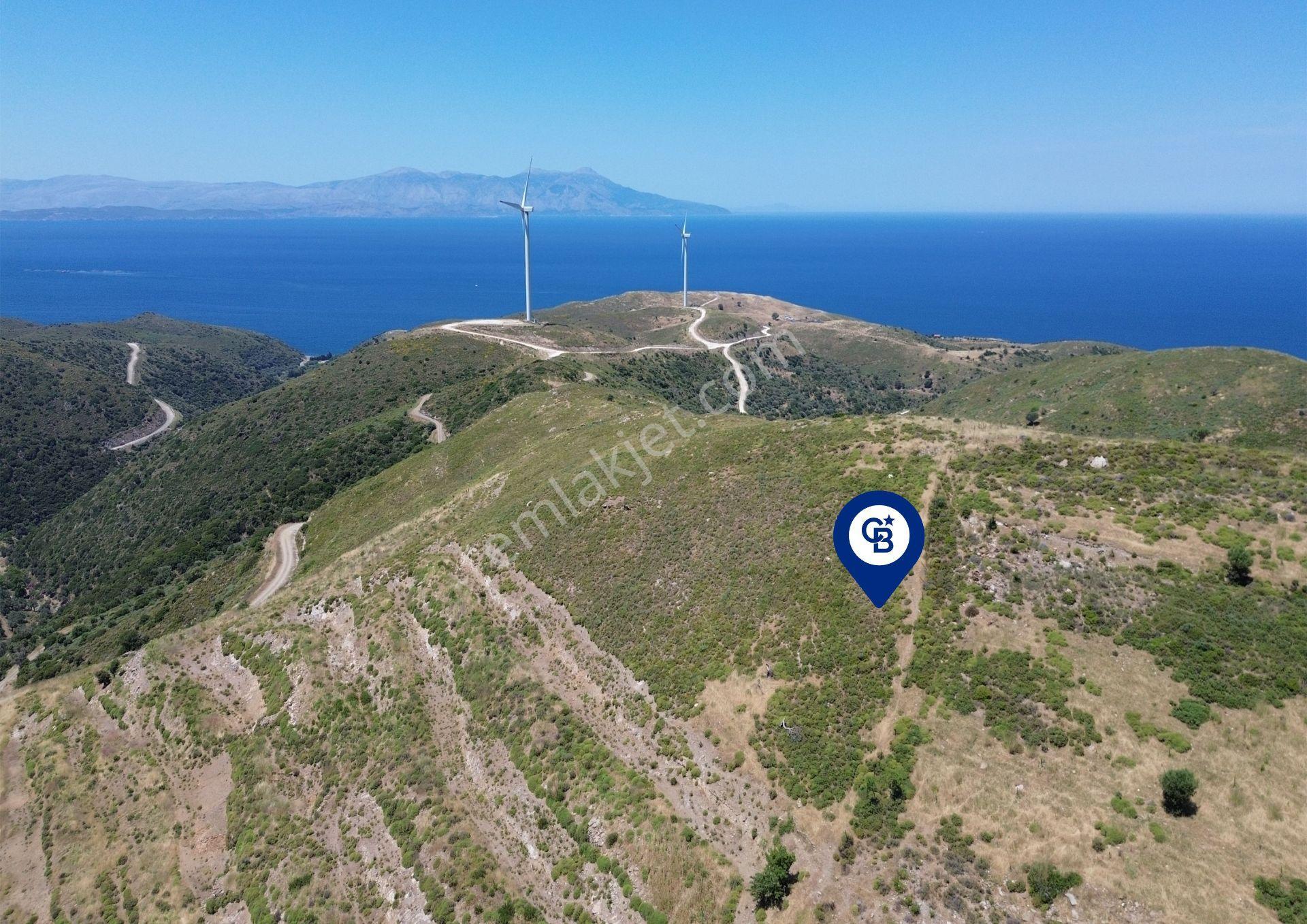 Karaburun Sarpıncık Mahallesi'nde 6.500 M² Satılık Tarla - Görsel 12