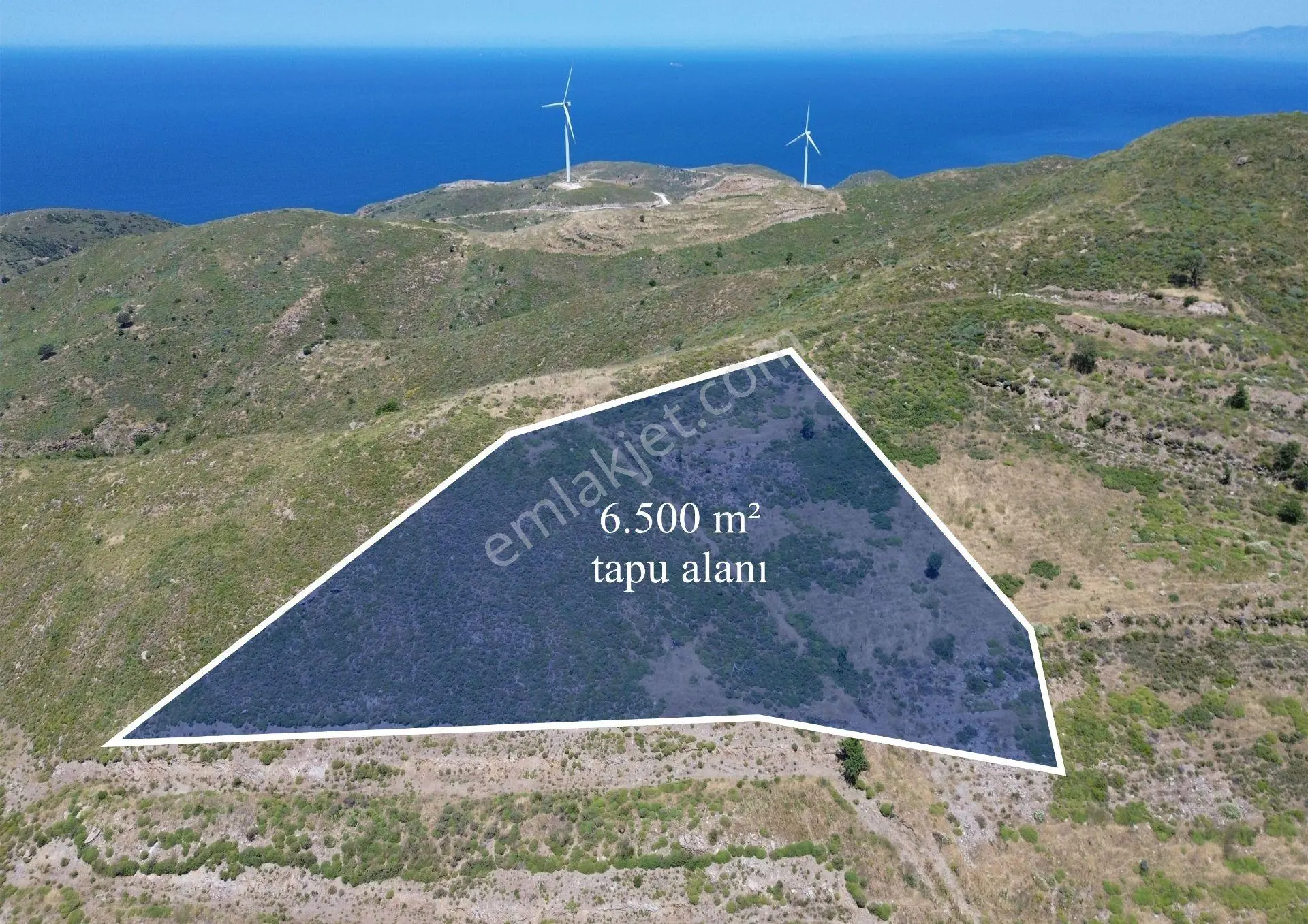 Karaburun Sarpıncık Mahallesi'nde 6.500 M² Satılık Tarla