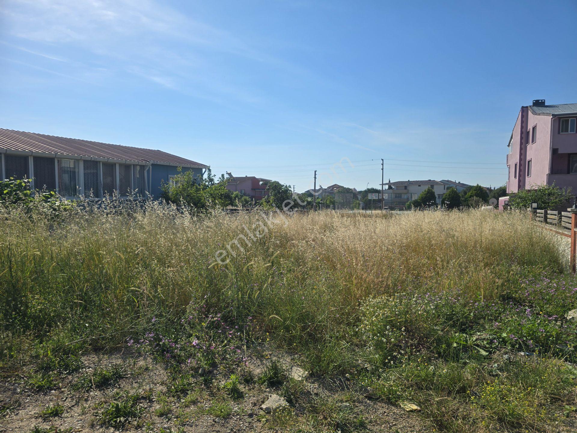 Karabiga Zeytinlik'te Sahile 4 Dakika Mesafede 292 M² Arsa | Yerleşim Alanı İçerisınde - Görsel 25