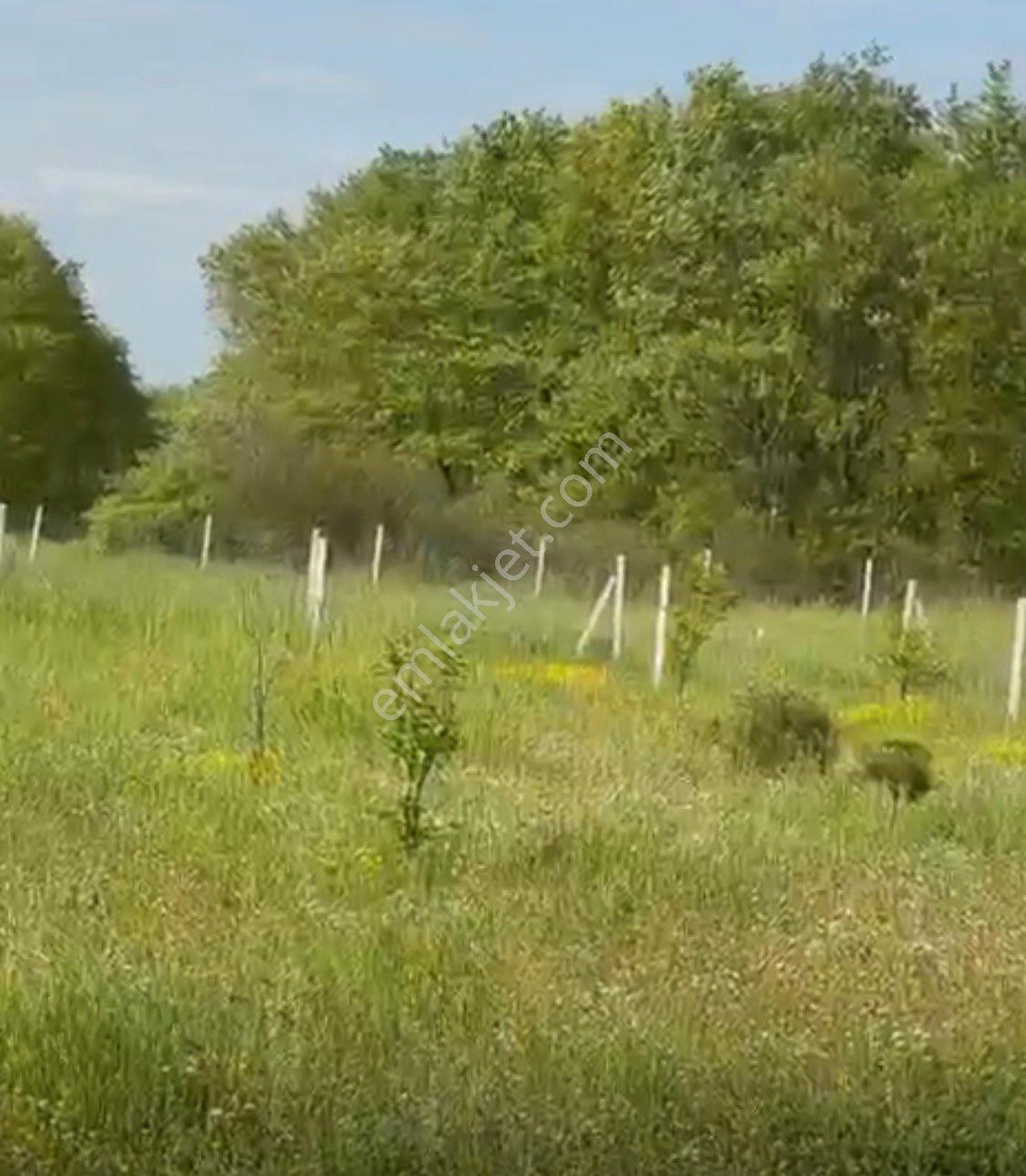 Silivri Çayırdere 500 M Çaplı Muvafakatnameli
