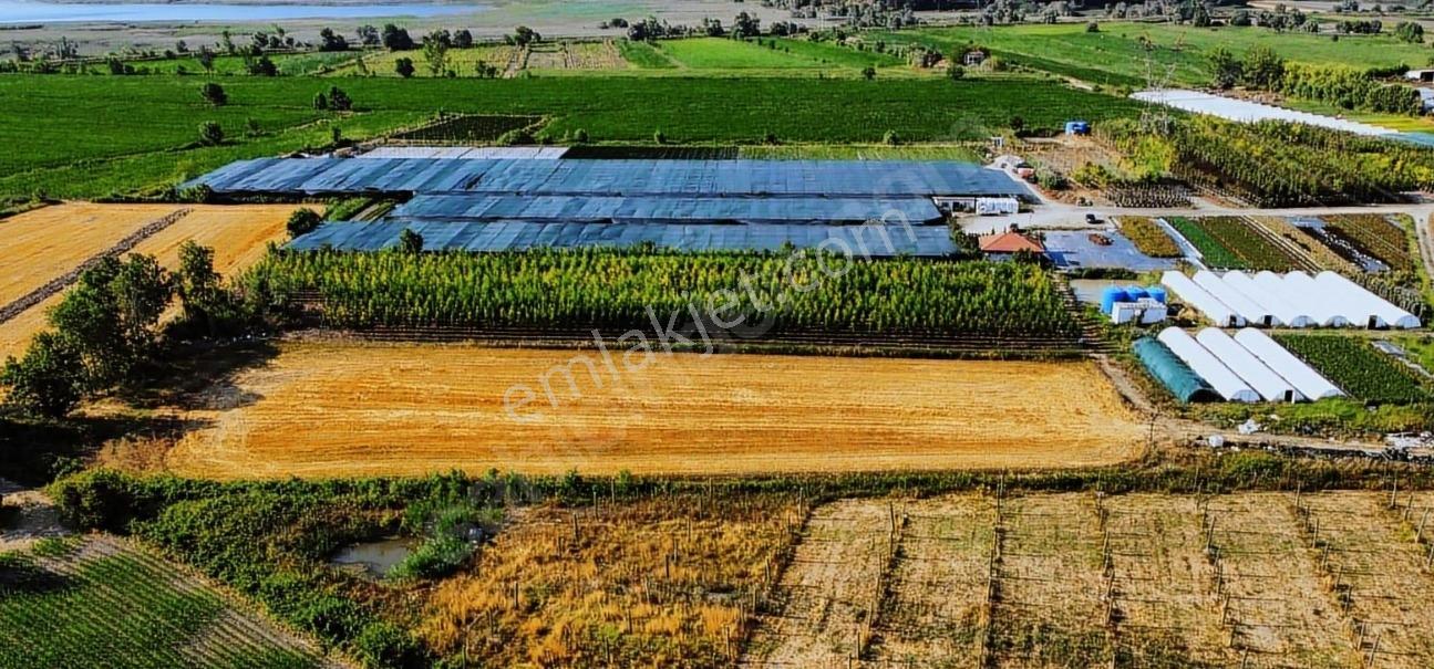 Arifbey Mah Serdivan Sapanca Arasında Satılık Tarla - Görsel 7