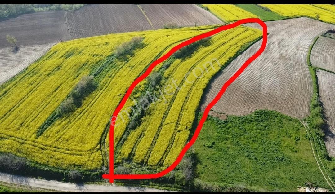 Hayrabolu Hedeylide 1 Alana 1 Bedava Fırsat Arsa