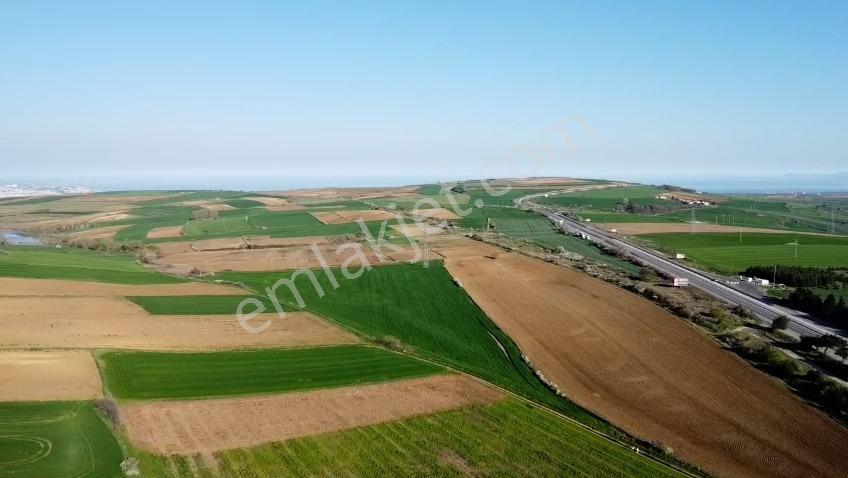 Tekirdağ Nusratlı Mahallesinde 49 Dönüm Tarla - Görsel 4
