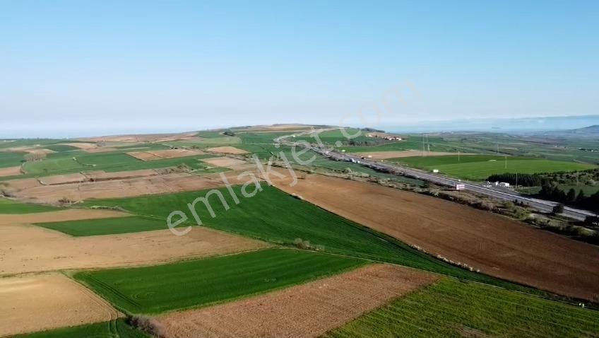 Tekirdağ Nusratlı Mahallesinde 49 Dönüm Tarla - Görsel 2