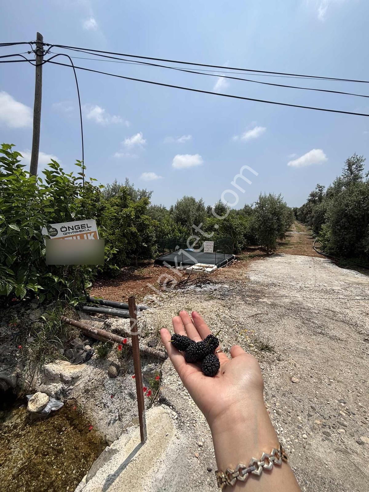Öngel'den Elvanlı'da Köyiçi İmarlı Bahçe - Görsel 23