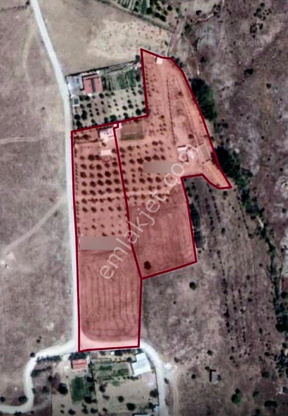 Sulutas'ta Doğayla İç İçe Yaşam: 13.000 M² Evli Satılık Bahçe - Görsel 14