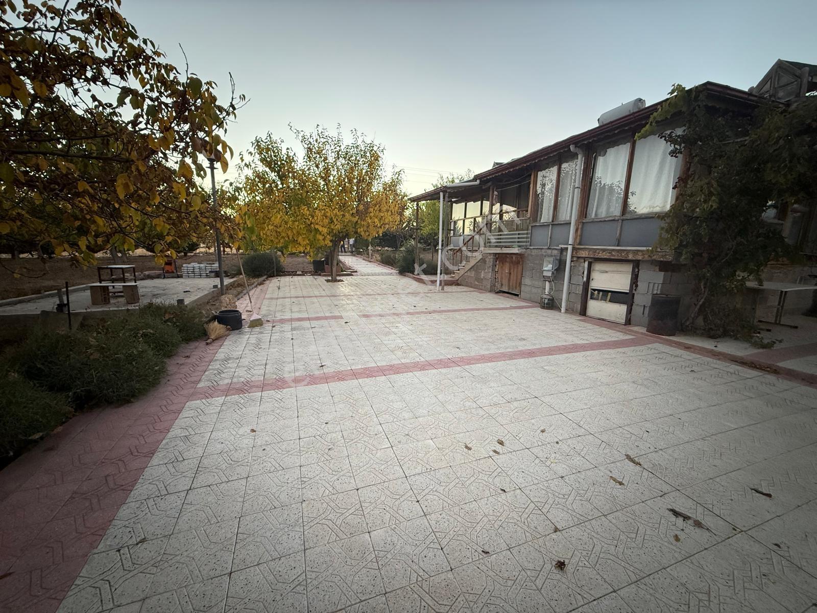 Sulutas'ta Doğayla İç İçe Yaşam: 13.000 M² Evli Satılık Bahçe - Görsel 8