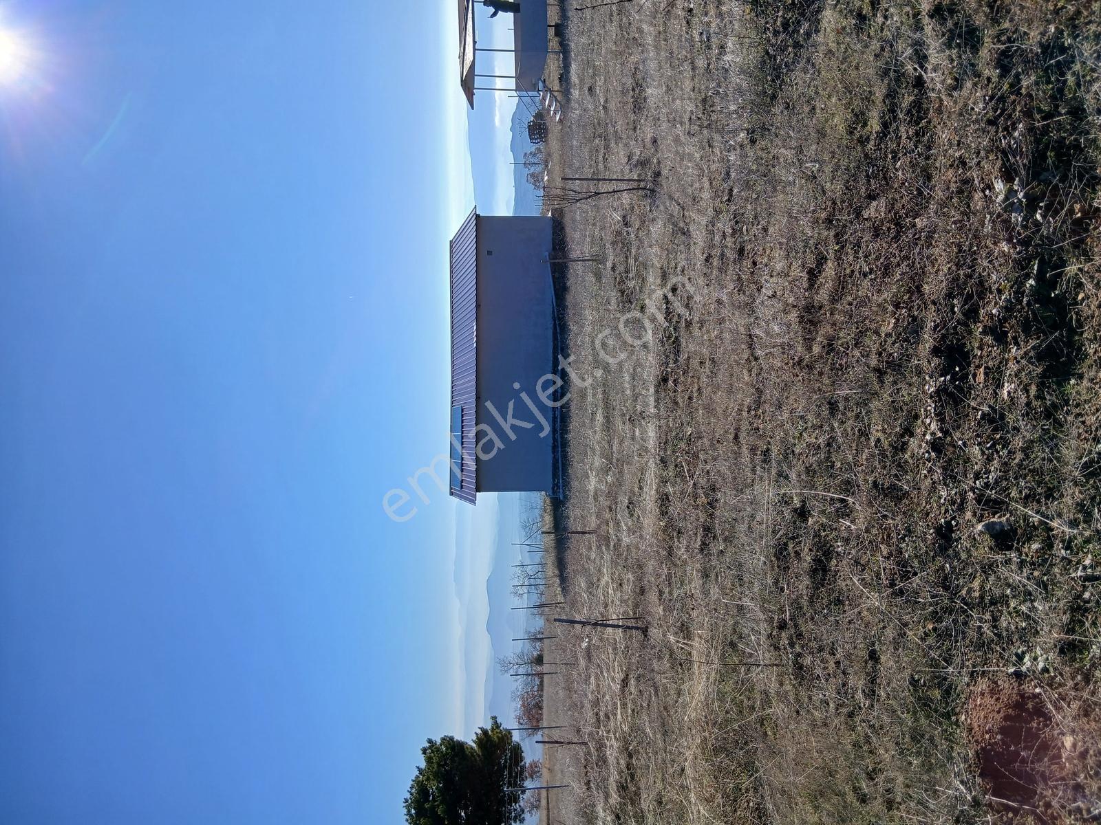 Bilecik Osmanelinde 7639 M2 Arsa Ve 2+1 Ev - Görsel 8