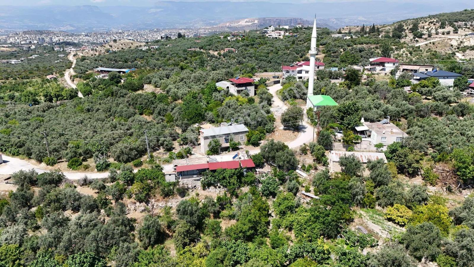 Umut Emlaktan Satılık Taş Evli Kayısı Ve Zeytin Bahçesi - Görsel 7