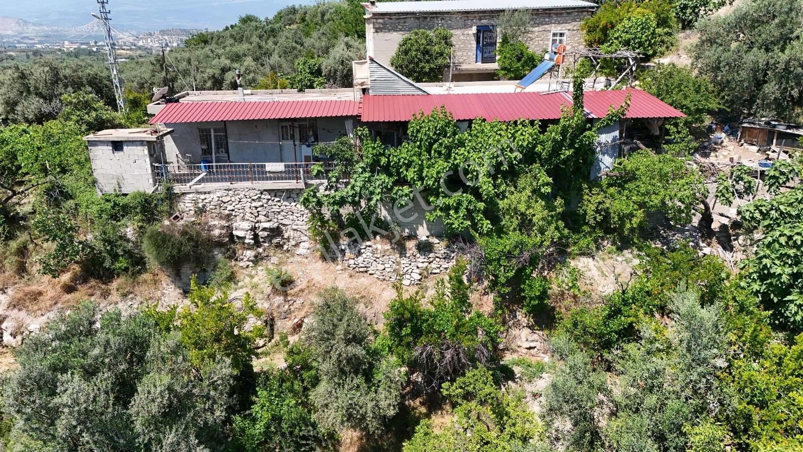 Umut Emlaktan Satılık Taş Evli Kayısı Ve Zeytin Bahçesi