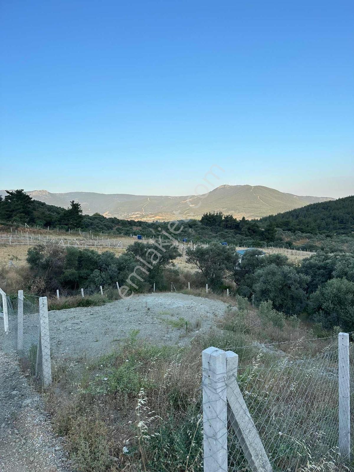 Erz'den Kemalpaşa Vişneli'de Doğa İçerisinde 607 M² Satılık - Görsel 2