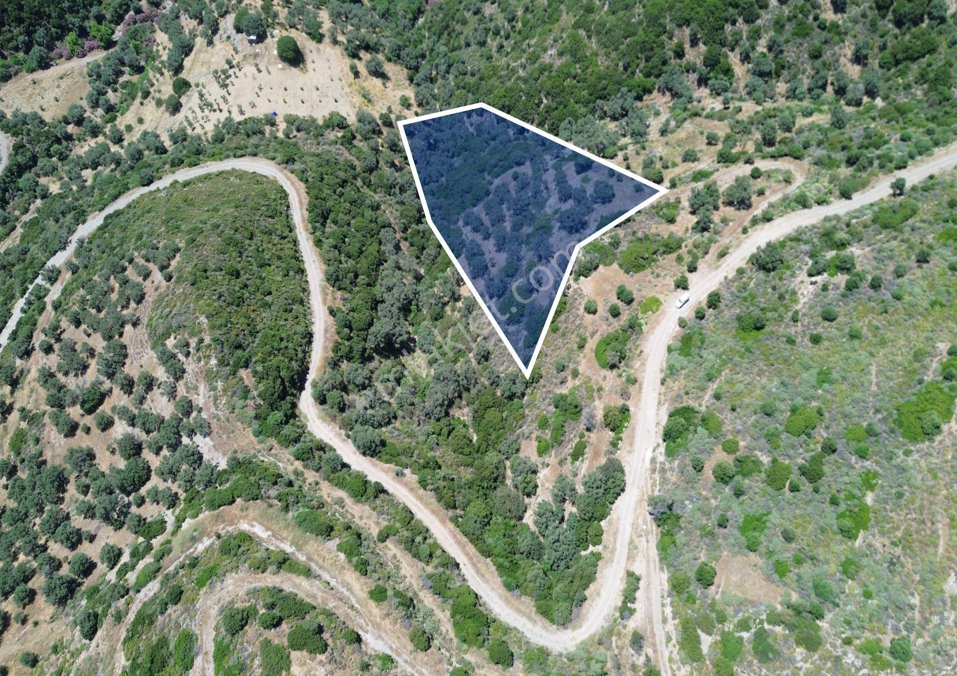 Sarpıncık'ta Deniz Manzaralı 7312 M² Yatırımlık Arazi - Görsel 6