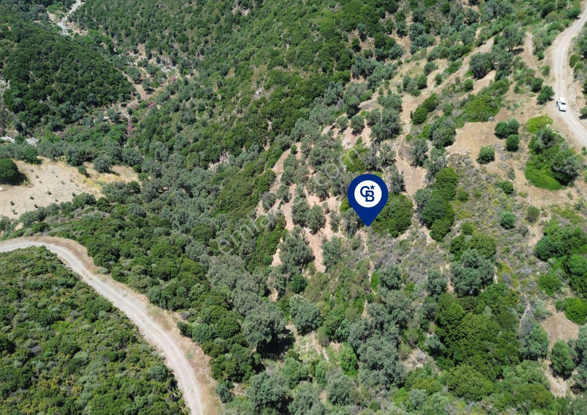 Sarpıncık'ta Deniz Manzaralı 7312 M² Yatırımlık Arazi - Görsel 17
