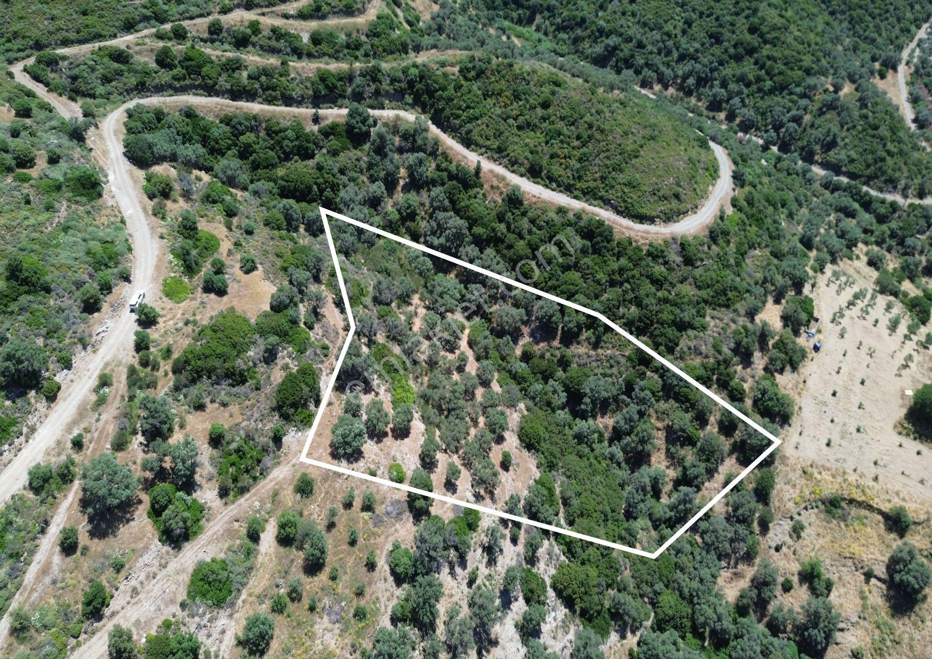 Sarpıncık'ta Deniz Manzaralı 7312 M² Yatırımlık Arazi - Görsel 9