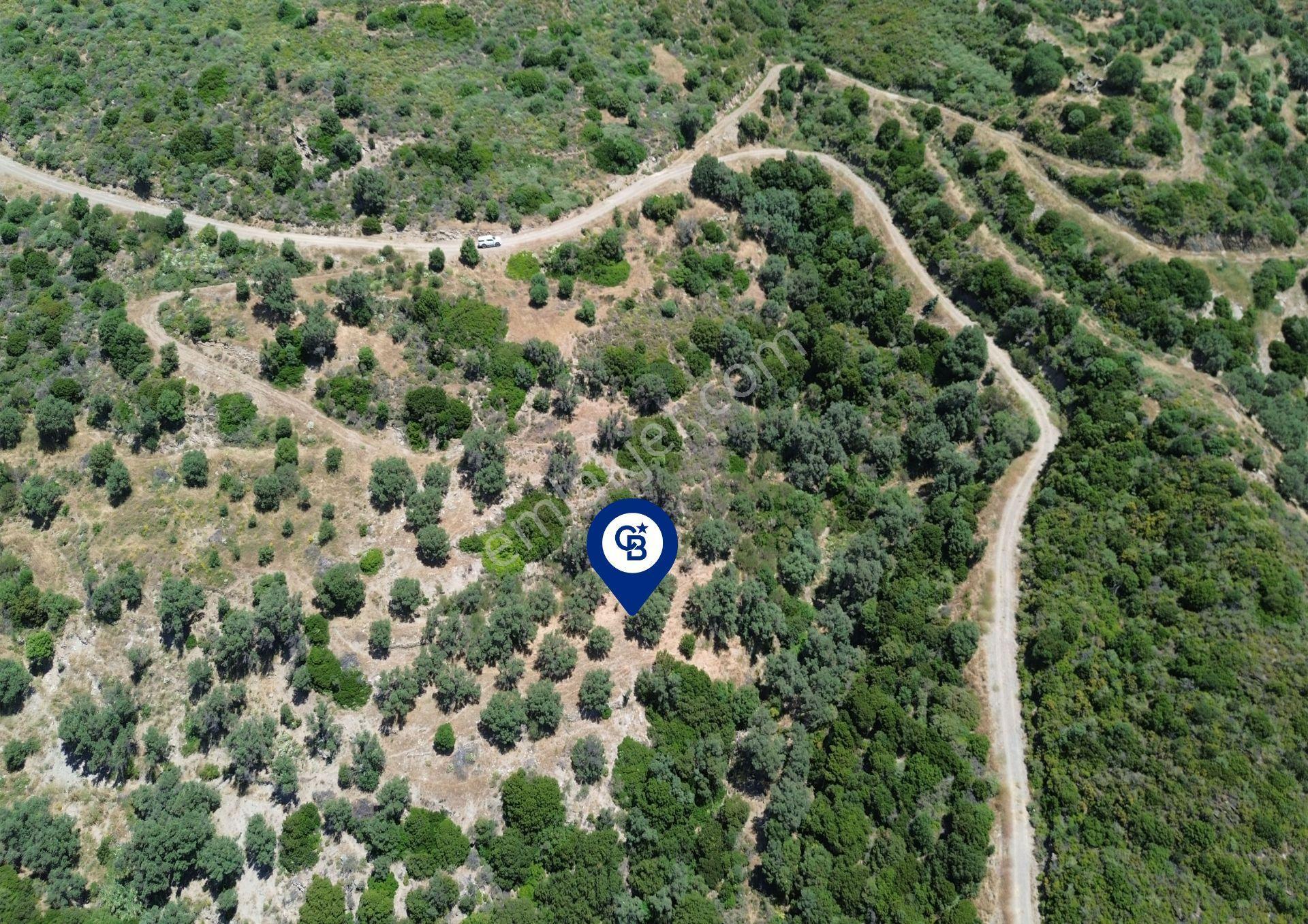 Sarpıncık'ta Deniz Manzaralı 7312 M² Yatırımlık Arazi - Görsel 13