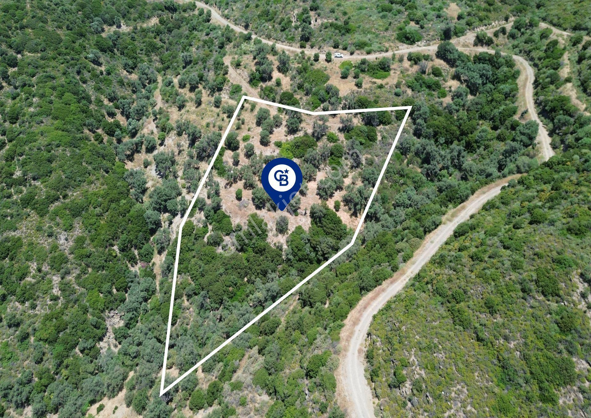 Sarpıncık'ta Deniz Manzaralı 7312 M² Yatırımlık Arazi - Görsel 5
