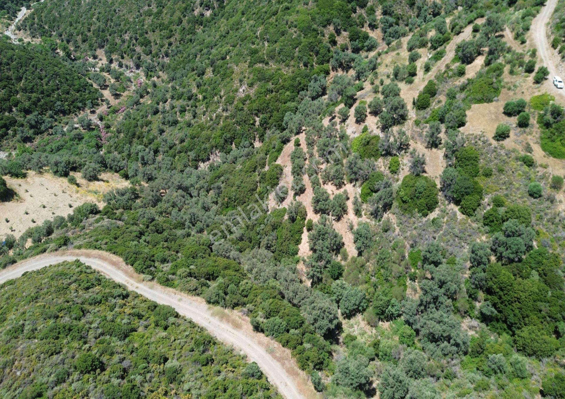 Sarpıncık'ta Deniz Manzaralı 7312 M² Yatırımlık Arazi - Görsel 16