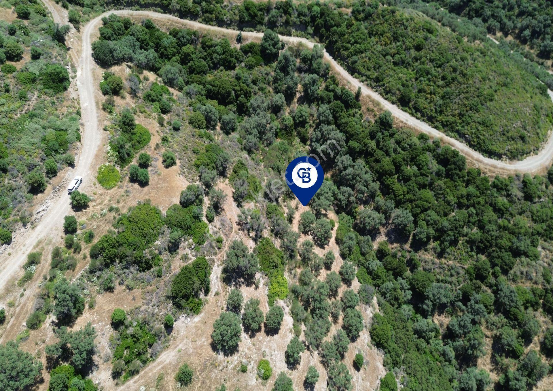Sarpıncık'ta Deniz Manzaralı 7312 M² Yatırımlık Arazi - Görsel 15