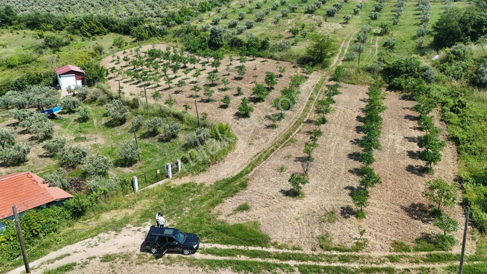 Sakarya Eşme 4454 M2 380 Watt Elektrik Şebeke Su Ve Kuyu Suyu - Görsel 8