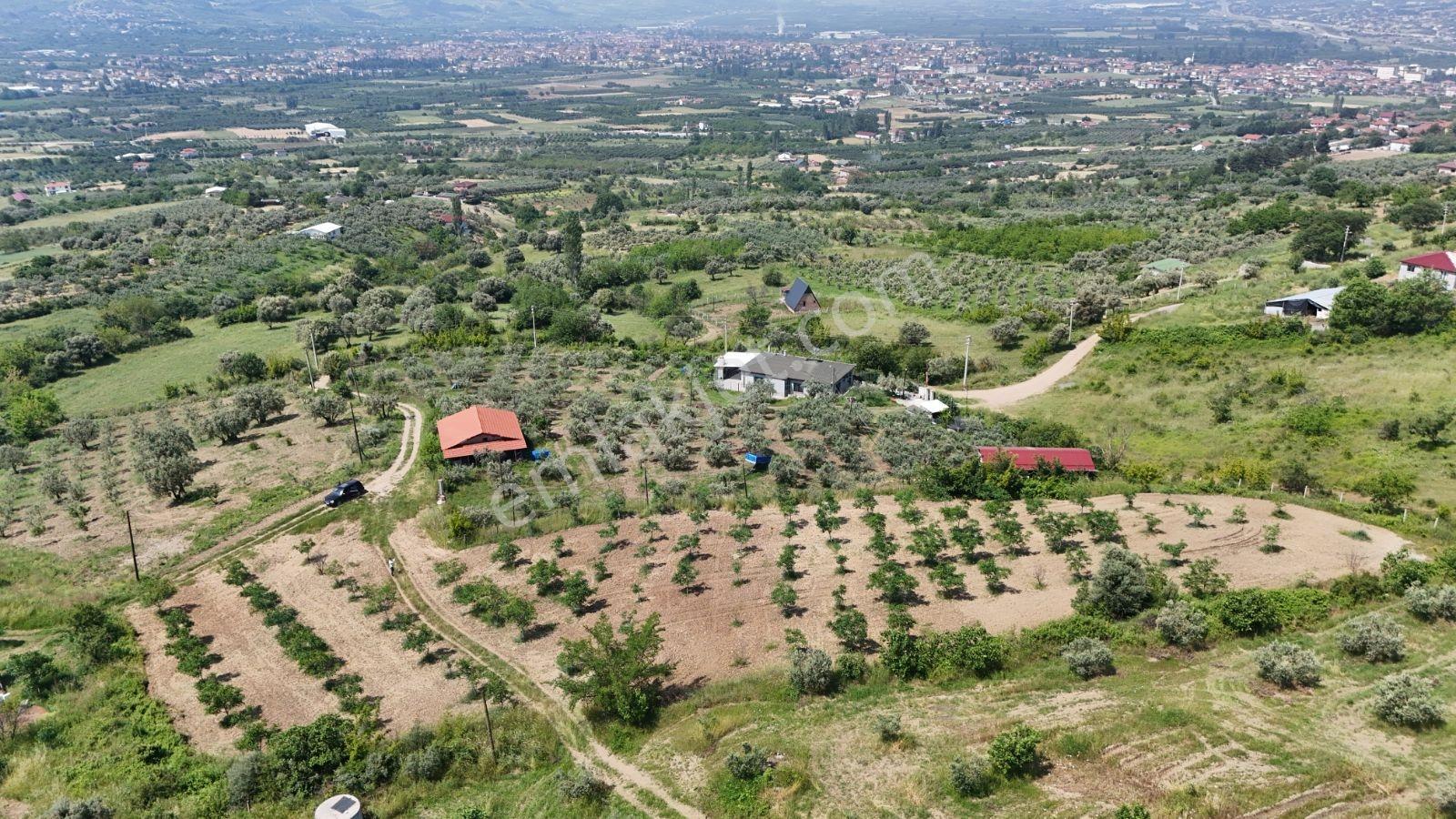 Sakarya Eşme 4454 M2 380 Watt Elektrik Şebeke Su Ve Kuyu Suyu - Görsel 13