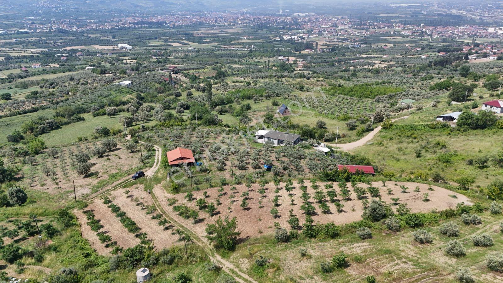 Sakarya Eşme 4454 M2 380 Watt Elektrik Şebeke Su Ve Kuyu Suyu - Görsel 19